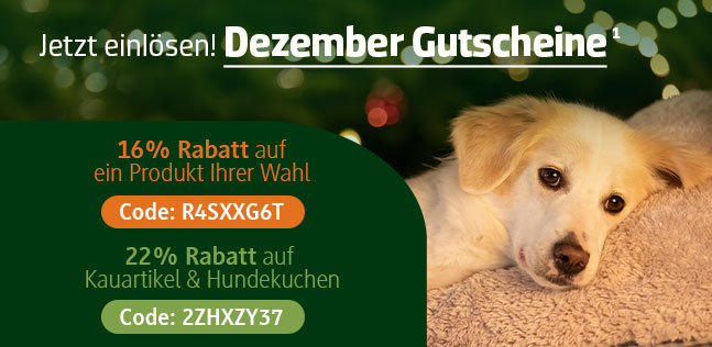 Der alsa-hundewelt Gutscheinkalender