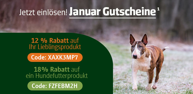 Der alsa-hundewelt Gutscheinkalender