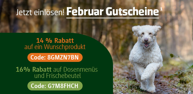Der alsa-hundewelt Gutscheinkalender
