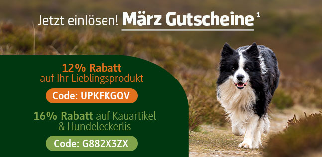 Der alsa-hundewelt Gutscheinkalender