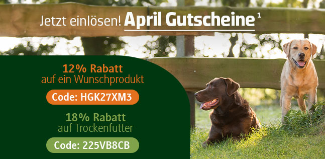 Der alsa-hundewelt Gutscheinkalender