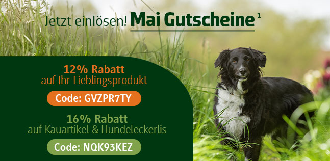 Der alsa-hundewelt Gutscheinkalender