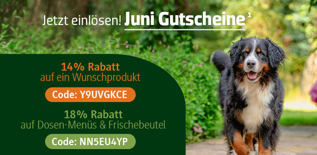 Der alsa-hundewelt Gutscheinkalender