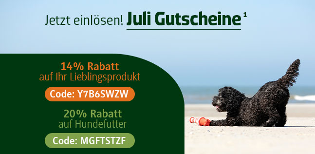 Der alsa-hundewelt Gutscheinkalender