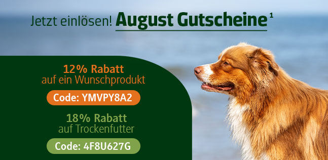 Der alsa-hundewelt Gutscheinkalender