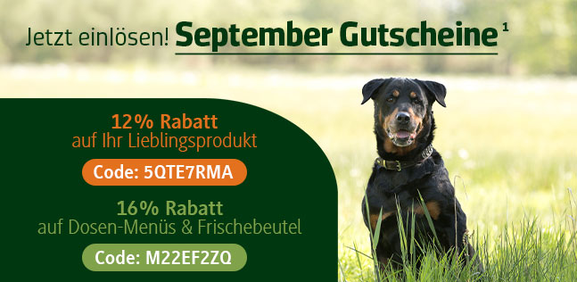 Der alsa-hundewelt Gutscheinkalender