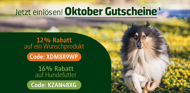 Der alsa-hundewelt Gutscheinkalender