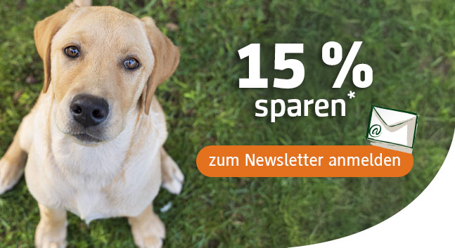 15% Gutschein für Sie