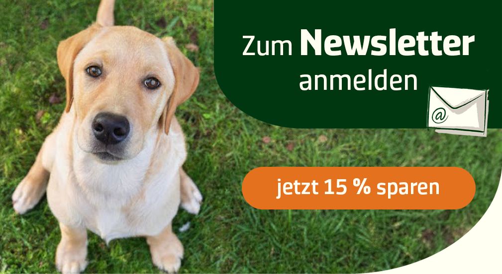 15% Gutschein für Sie