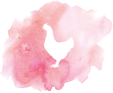 Produkt Icon von alsa-nature SIMPLE Fleisch Sorte Huhn