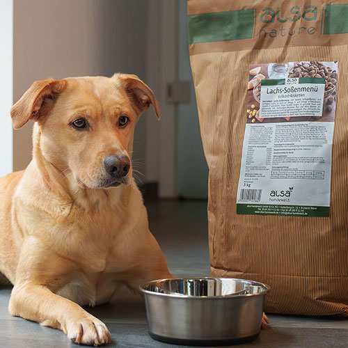 zo laat je je hond meer water drinken