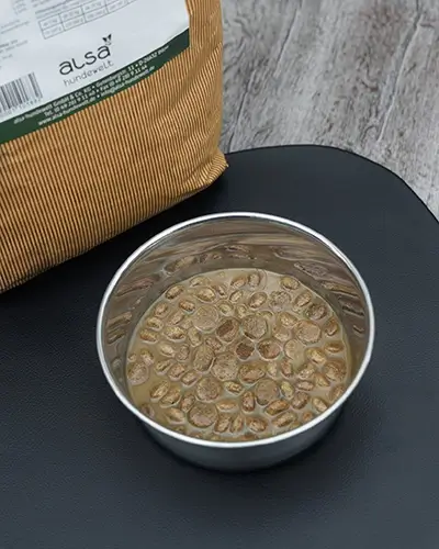 zo laat je je hond meer water drinken