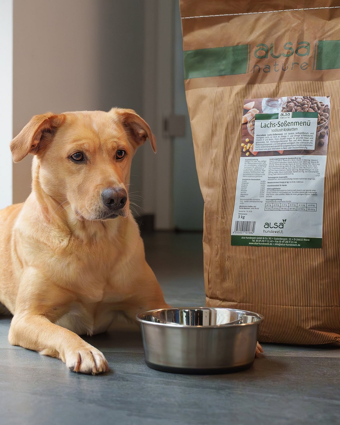 zo laat je je hond meer water drinken