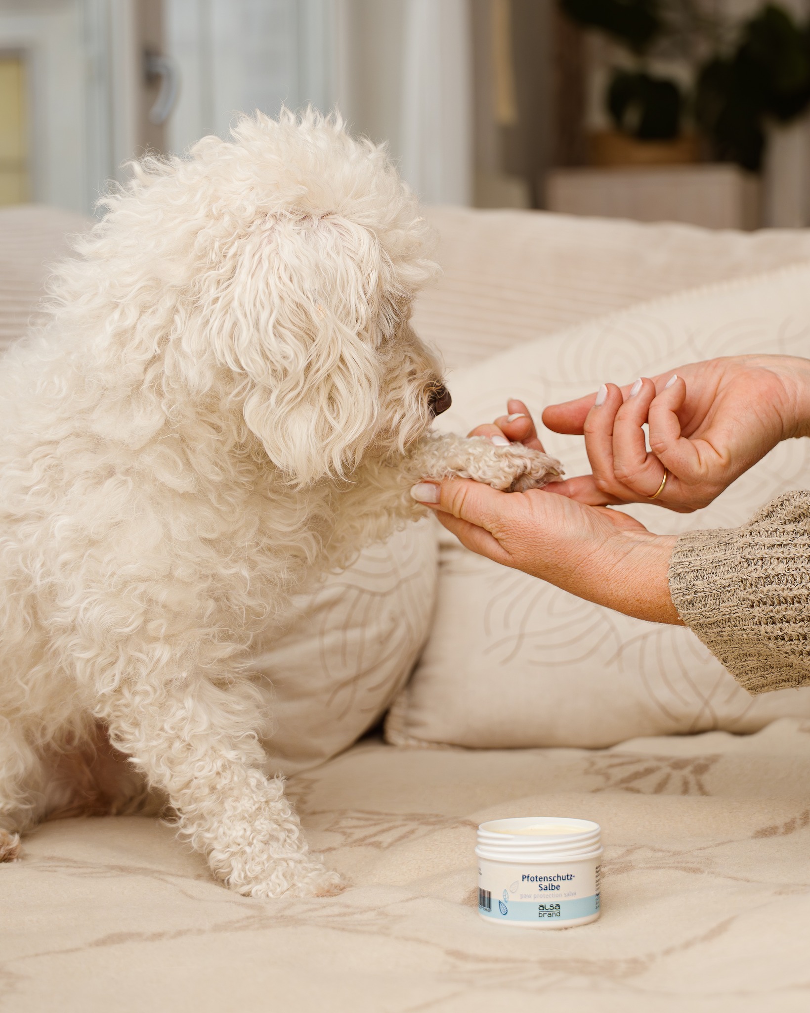 hondenpoten beschermen in de winter