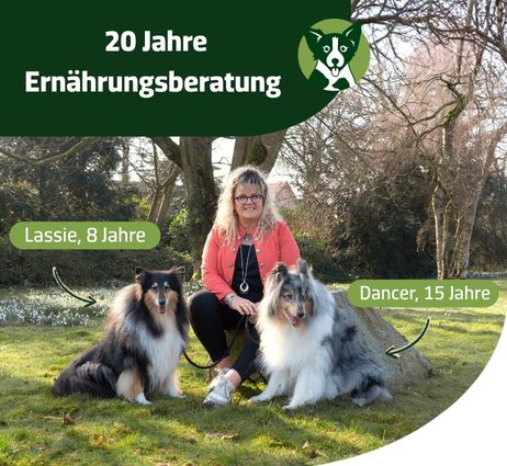 Insa mit Hunden