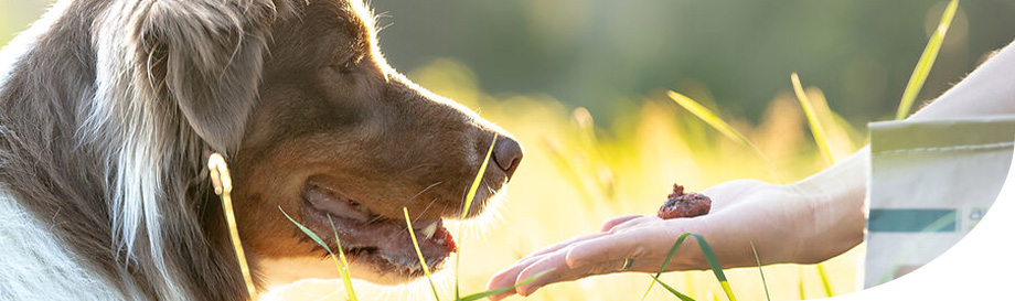Unser Futter von alsa-nature