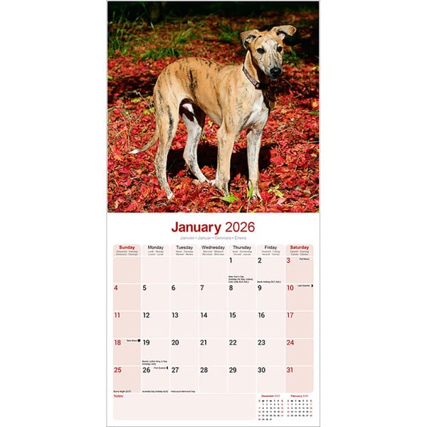 Kalender 2022 "Greyhound" alsahundewelt