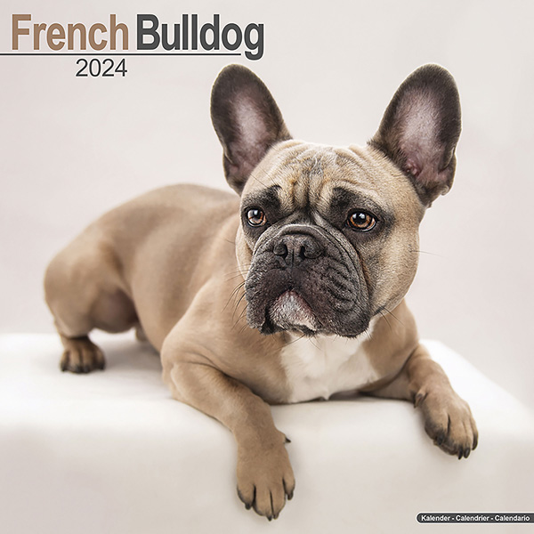 Kalender 2024 "Französische Bulldogge"