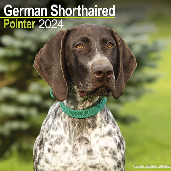 Kalender 2024 "Duitse staande hond"