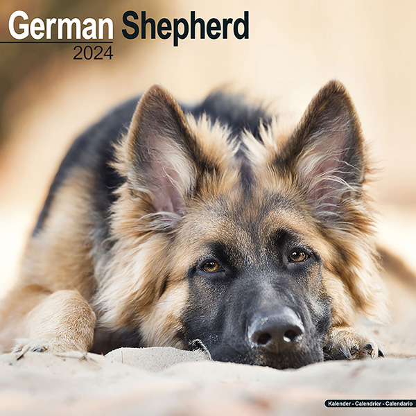 Kalender 2024 "Deutscher Schäferhund"