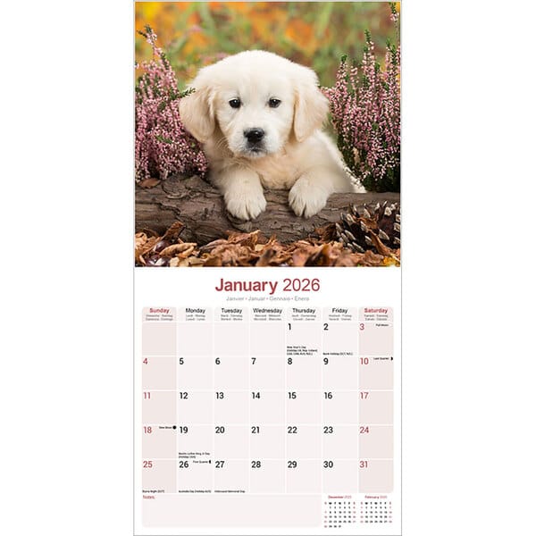 Calendar 2022 Golden Retriever Puppies