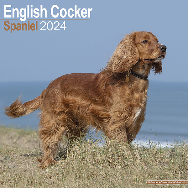 Kalender 2023 "Cocker Spaniel"