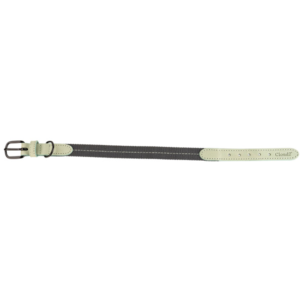 Cloud7® Hondenhalsband "Madeira"