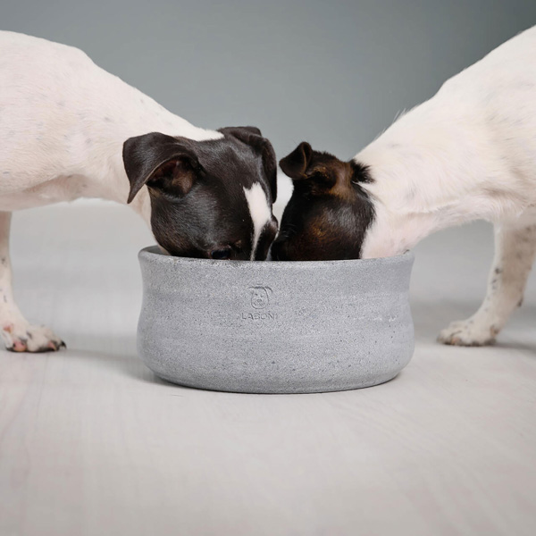Hundenäpfe & Napfständer online kaufen — alsa-hundewelt
