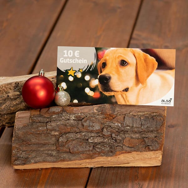 XMAS Geschenk-Gutschein 10,- €