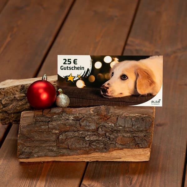 XMAS Geschenk-Gutschein 25,- €