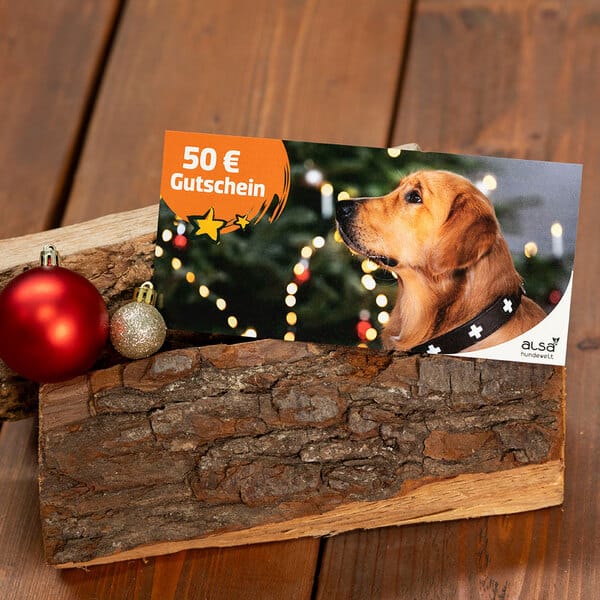XMAS Geschenk-Gutschein 50,- €