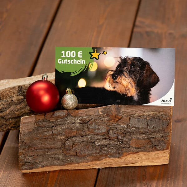 XMAS Geschenk-Gutschein 100,- €