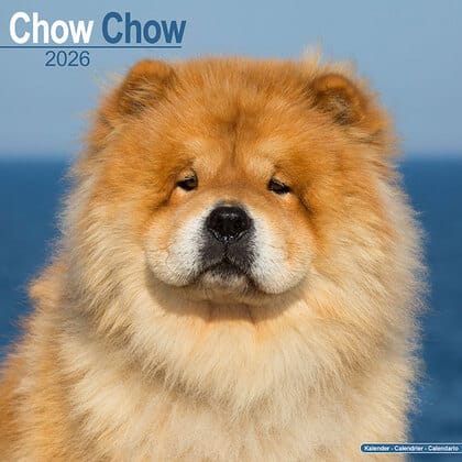 Kalender 2026 "Chow Chow"