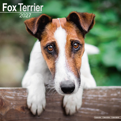 Kalender 2027 "Fox Terrier"