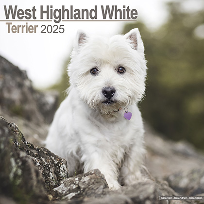 Kalender 2025 "Westie"