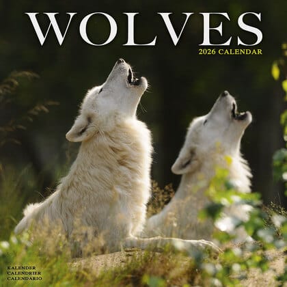 Kalender 2026 "Wolf"