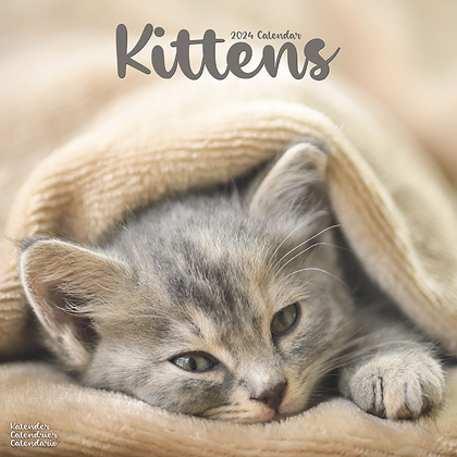 Kalender 2024 "Kittens"