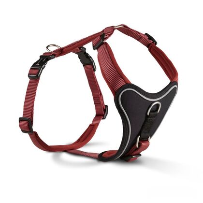 WOLTERS Hundegeschirr "Professional Comfort"