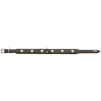 HUNTER Hondenhalsband "Swiss Glow"