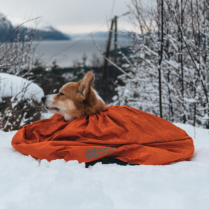 Non-stop dogwear® Hundeschlafsack "Protector Bivvy Bag"