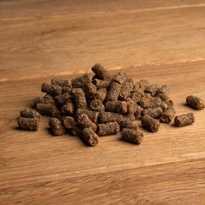 alsa-nature Softies Pferde-Minis