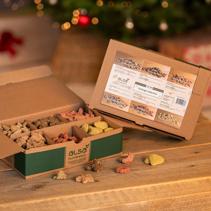 alsa-nature Kerstkoekjes-selectie
