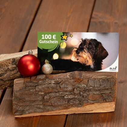 XMAS Geschenk-Gutschein 100,- €