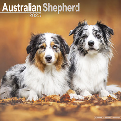 Hundekalender 2025 Australian Shepherd, Maße: ca. 30,5 x 30,5 cm