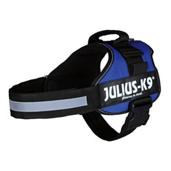 Julius-K9® Hundegeschirr Power blau, Gr. XS, Breite: 25 mm, Bauchumfang: ca. 40 - 53 cm