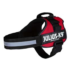Julius-K9® Hundegeschirr Power rot, Gr. 2XS, Breite: 20 mm, Bauchumfang: ca. 33 - 45 cm