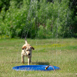 Hunde Wasserspielzeug Splash Pool Water Sprinkler blau, Höhe: ca. 10 cm, Durchmesser:  ca. 100 cm