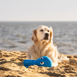 Hunde Wasserspielzeug Octo blau, Maße: ca. 33 x 33 x 15 cm