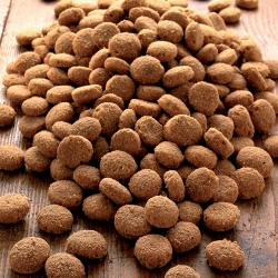 alsa-nature Aktiv Spezial Protein Trockenfutter, 3 kg, Hundefutter trocken