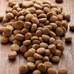 alsa-nature Big-Junior Medial Protein Trockenfutter, 3 kg, Hundefutter trocken
